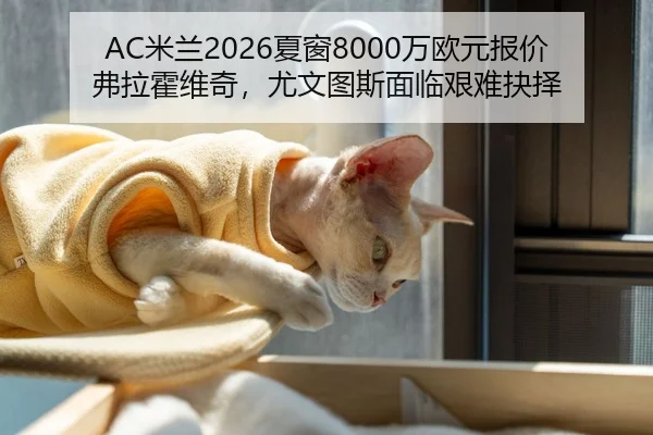 AC米兰2026夏窗8000万欧元报价弗拉霍维奇，尤文图斯面临艰难抉择
